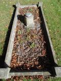 image of grave number 583260